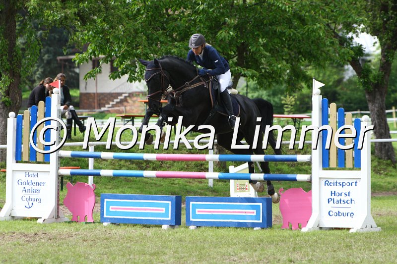 005M6433_Fantastic Touch_Springpferde L.JPG